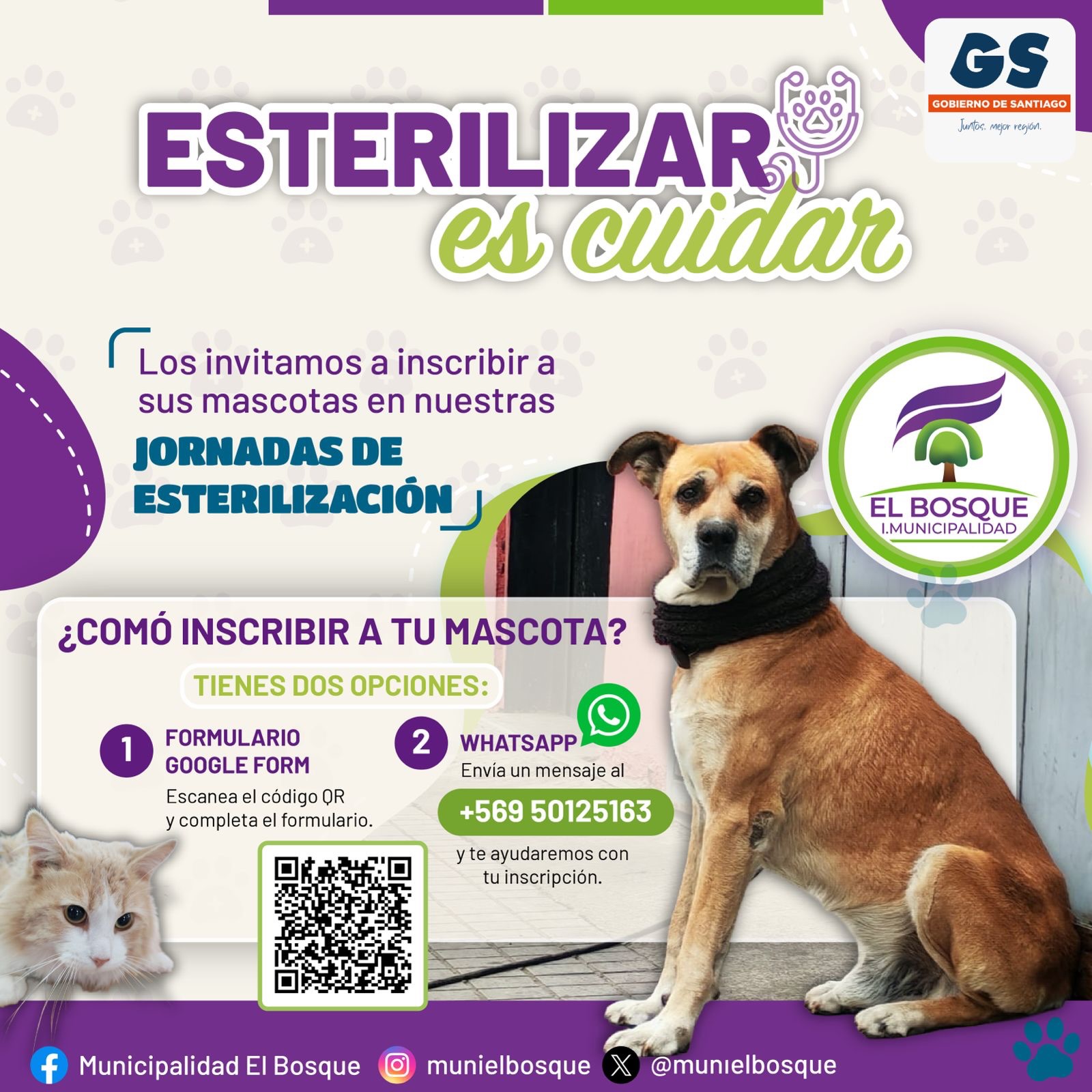 🟢𝐄𝐒𝐓𝐄𝐑𝐈𝐋𝐈𝐙𝐀𝐑 𝐄𝐒 𝐂𝐔𝐈𝐃𝐀𝐑 #𝐄𝐋𝐁𝐎𝐒𝐐𝐔𝐄💚🐈🐾 🐶Te invitamos a inscribir a tu mascota en las jornadas de esterilización, puedes hacerlo a través de estas dos alternativas: 💠𝐅𝐨𝐫𝐦𝐮𝐥𝐚𝐫𝐢𝐨 Escanea el código QR de la imagen y completa el formulario. 💠𝐖𝐡𝐚𝐭𝐬𝐀𝐩𝐩 Envía un mensaje al 📲💬 +569 50125163 y te ayudaremos con tu inscripción. ¡Más mascotas sanas y felices en El Bosque! #ElBosqueMunicipioCiudadano