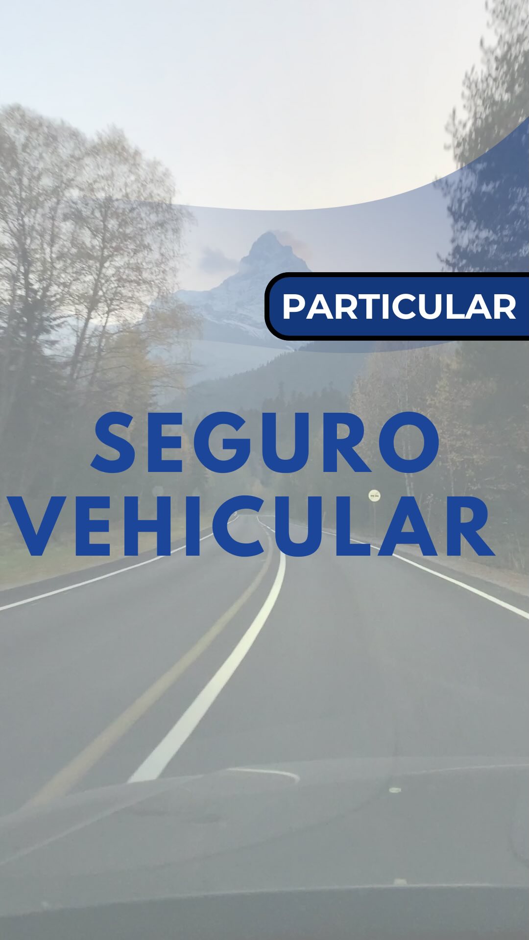 Cotiza tu Seguro Vehicular en Gestión Segura. Corredores oficiales de seguros con +40 años de experiencia asesorando empresas y personas.
#seguro #corredoresdeseguros #poliza #siniestro
#aseguradoras #cobertura #seguroauto #segurovehicular #segurodeauto #vehiculo