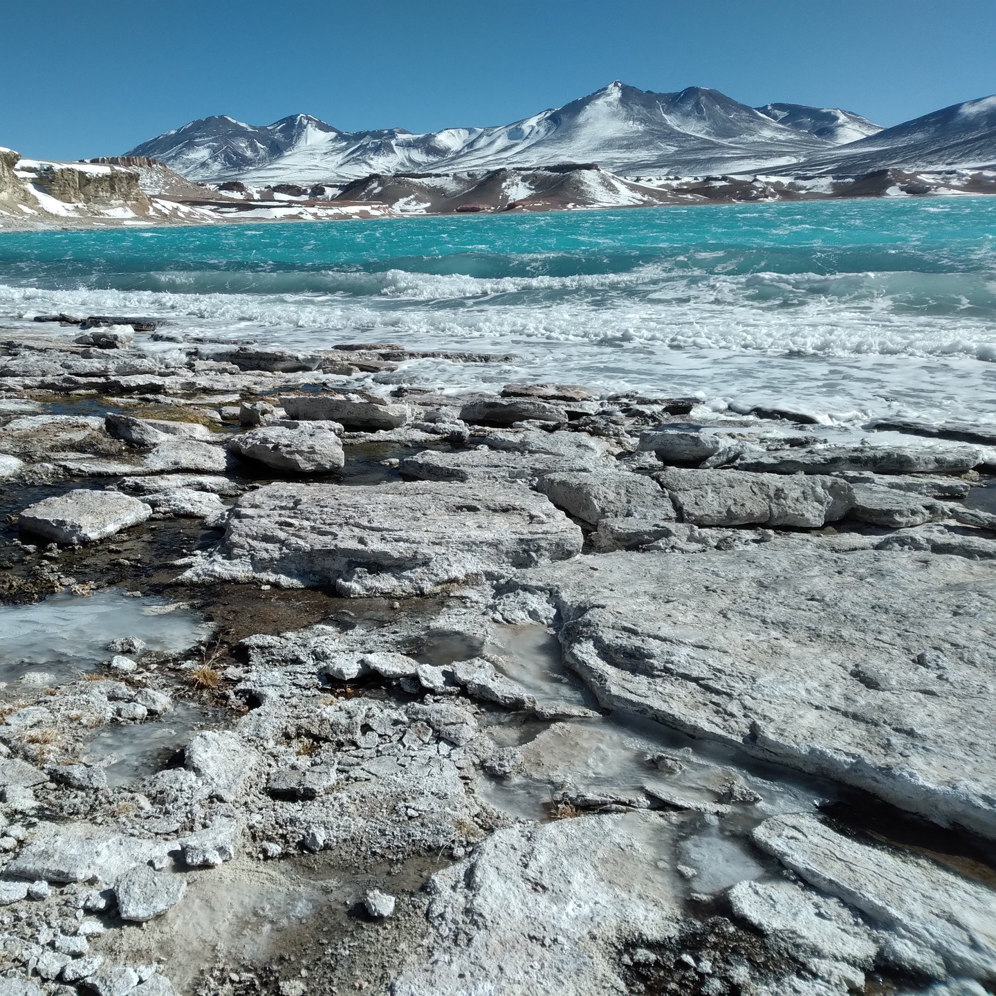 Este invierno de 2026 volveremos nuevamente a repetir esta aventura!!
Ir en esta época al Altiplano de Atacama, allá arriba en las alturas al interior de Copiapó, es sinónimo de frío y viento.
La recompensa es aboluta.
Pronto, toda la información...