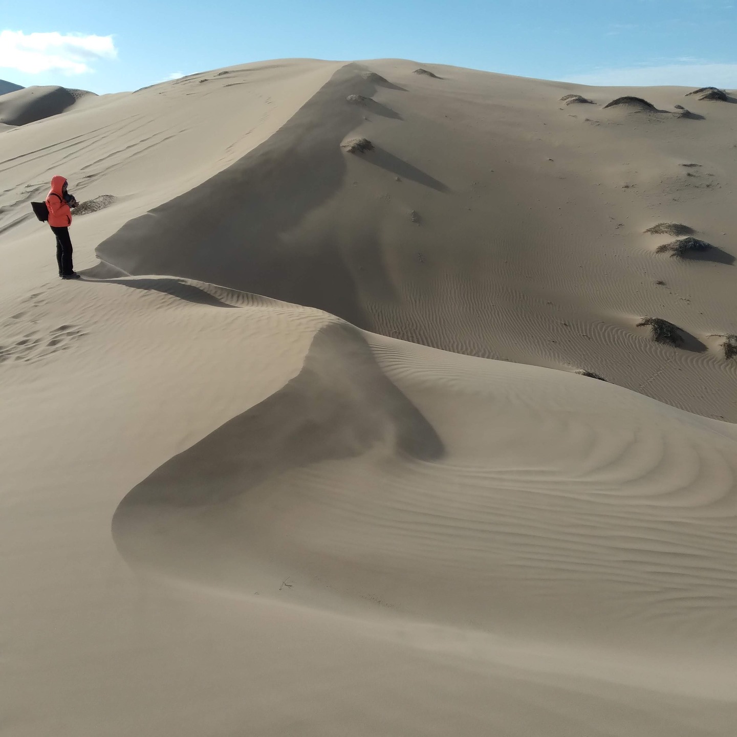 Este invierno de 2026 volveremos nuevamente a repetir esta aventura!!
Ir en esta época al Altiplano de Atacama, allá arriba en las alturas al interior de Copiapó, es sinónimo de frío y viento.
La recompensa es aboluta.
Pronto, toda la información...