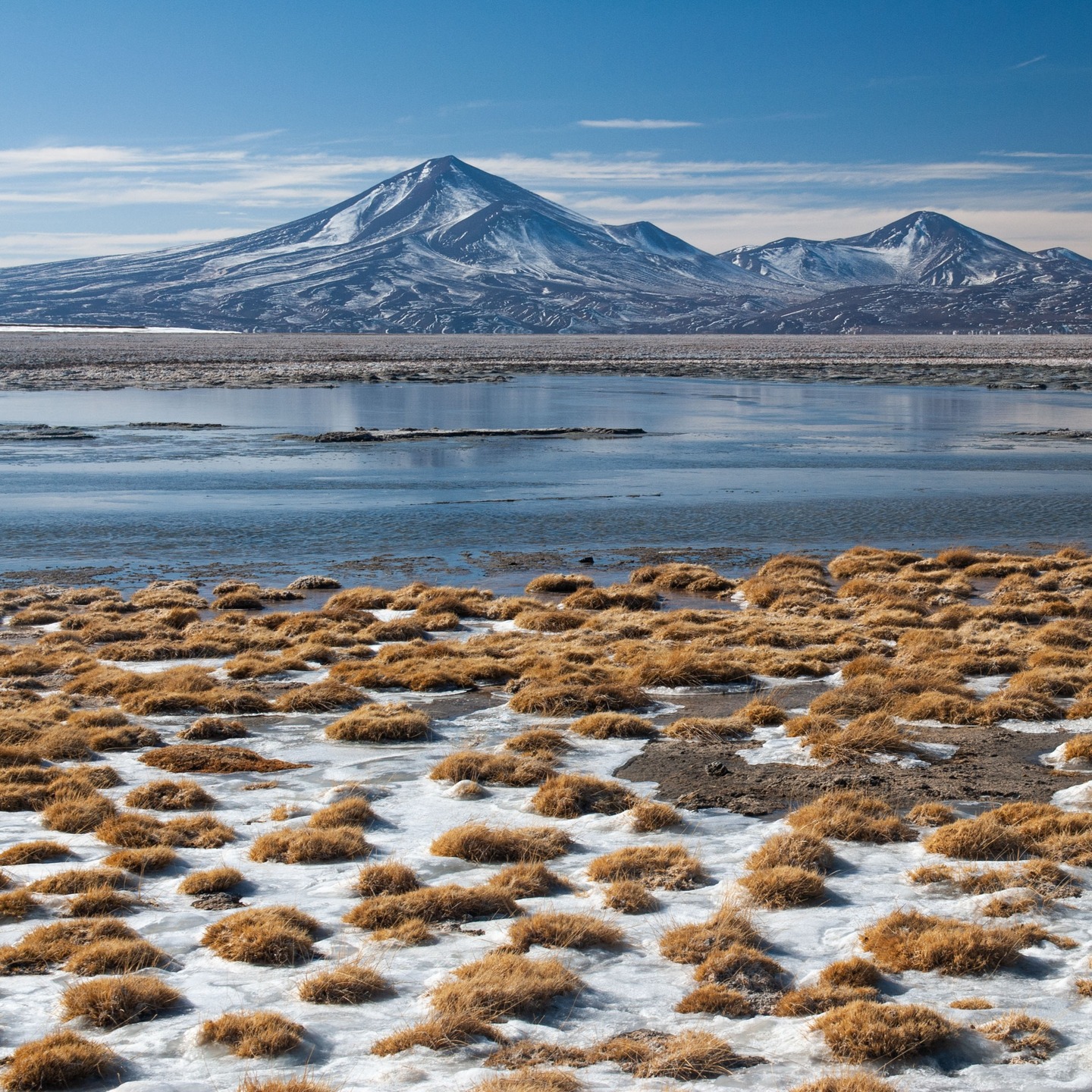 Este invierno de 2026 volveremos nuevamente a repetir esta aventura!!
Ir en esta época al Altiplano de Atacama, allá arriba en las alturas al interior de Copiapó, es sinónimo de frío y viento.
La recompensa es aboluta.
Pronto, toda la información...
