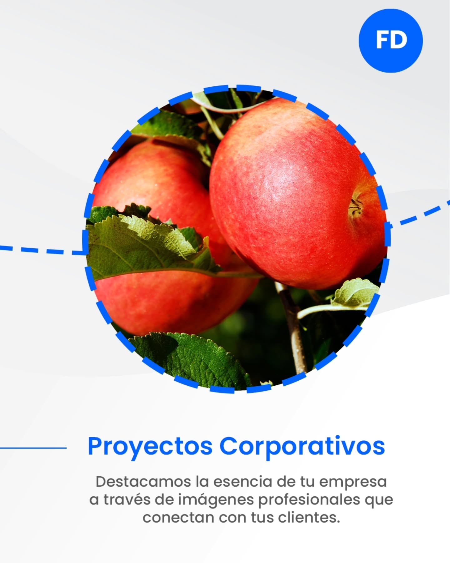 Mostramos lo que hay detrás de tu marca: personas, procesos y calidad que marcan la diferencia 🍎
Creamos imágenes corporativas que cuentan historias reales — desde el origen hasta el producto final — para conectar con tus clientes de forma auténtica y profesional.
Tu empresa no solo se ve… se siente.
#proyectoscorporativos #fotografíacorporativa #Chile