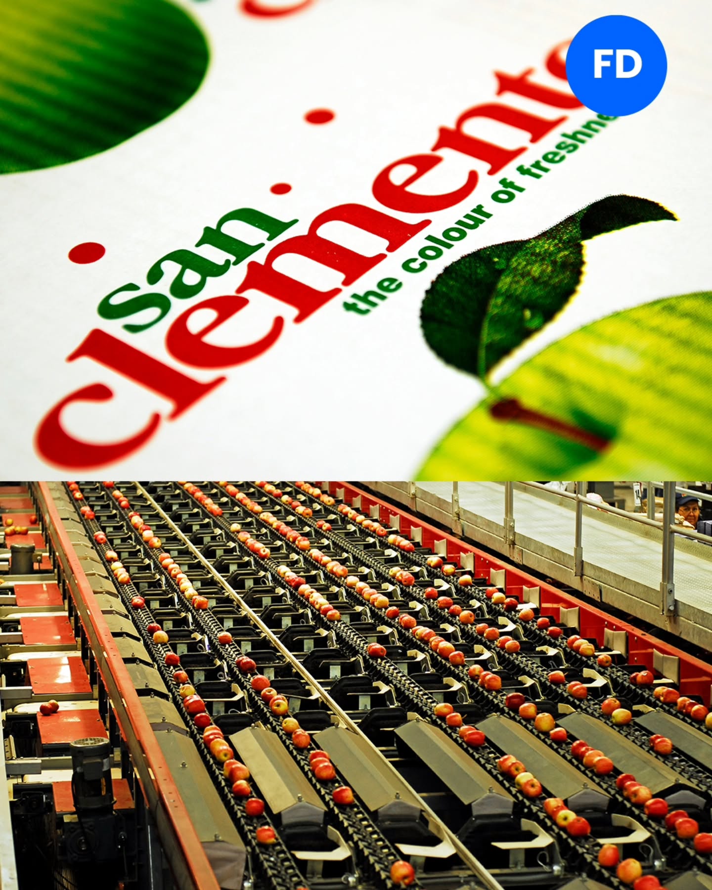 Mostramos lo que hay detrás de tu marca: personas, procesos y calidad que marcan la diferencia 🍎
Creamos imágenes corporativas que cuentan historias reales — desde el origen hasta el producto final — para conectar con tus clientes de forma auténtica y profesional.
Tu empresa no solo se ve… se siente.
#proyectoscorporativos #fotografíacorporativa #Chile