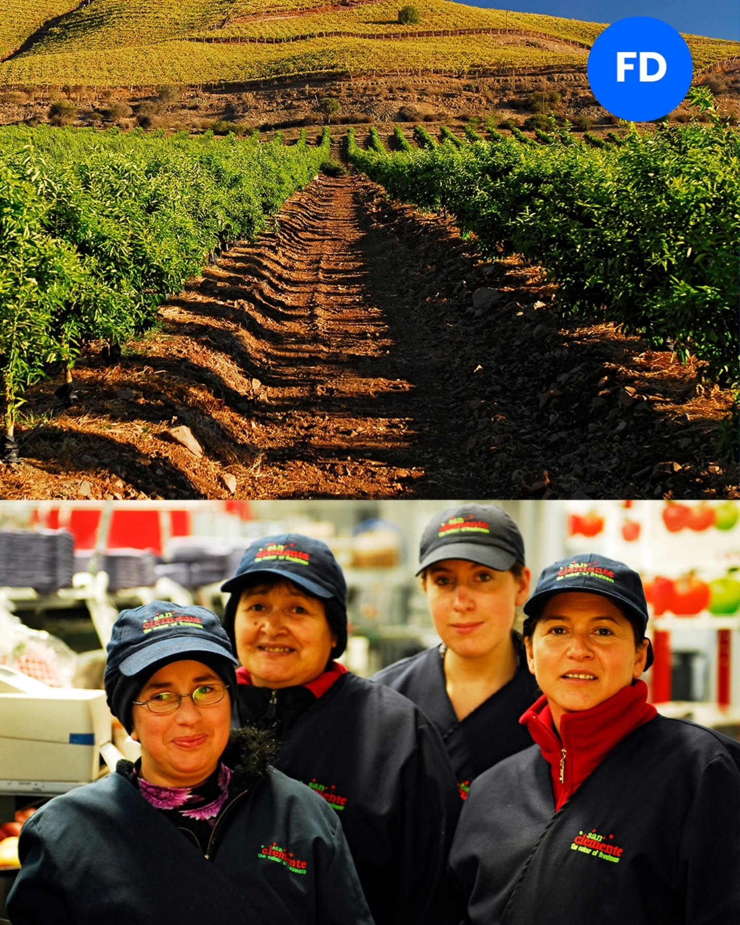 Mostramos lo que hay detrás de tu marca: personas, procesos y calidad que marcan la diferencia 🍎
Creamos imágenes corporativas que cuentan historias reales — desde el origen hasta el producto final — para conectar con tus clientes de forma auténtica y profesional.
Tu empresa no solo se ve… se siente.
#proyectoscorporativos #fotografíacorporativa #Chile