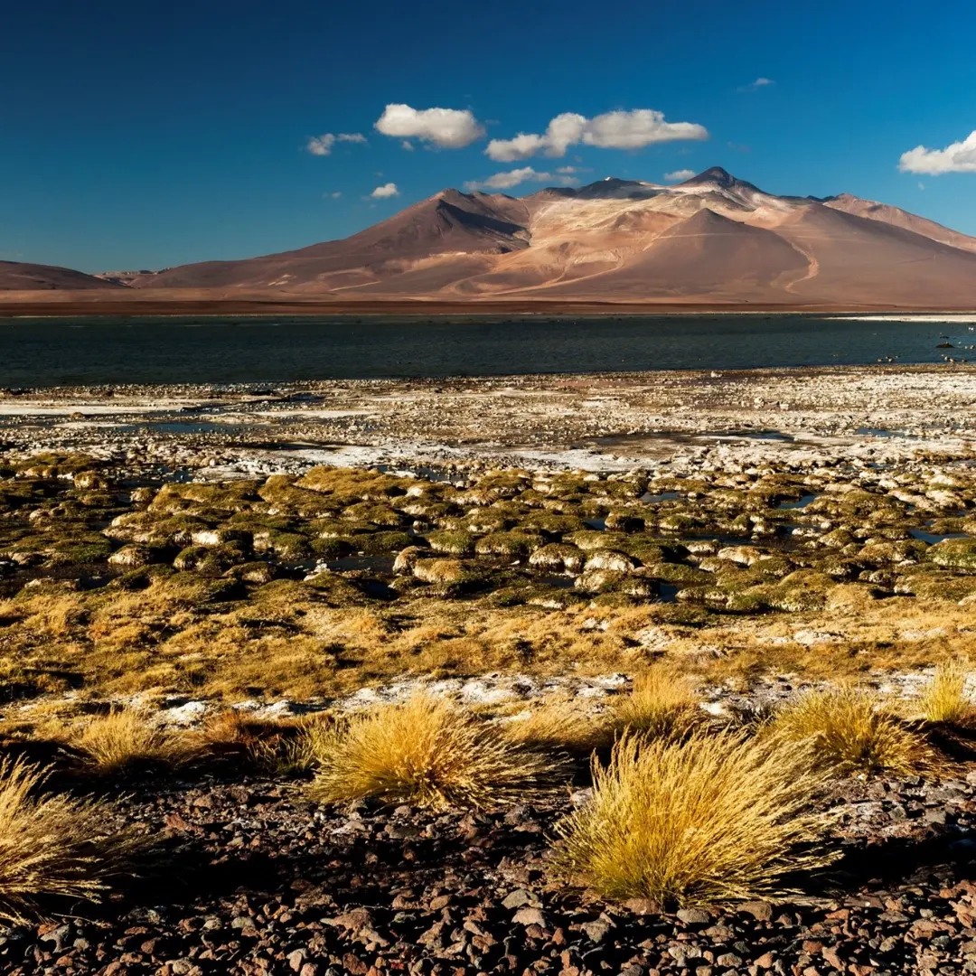 Algunos paisajes del Altiplano de la región de Atacama, al interior de Copiapó.
Por aqui volveremos a estar en una nueva expedición de aventuras este 2026.
Destino en preparación!!