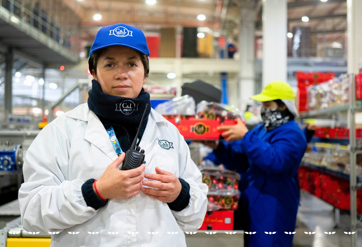 En C&L Fruit trabajamos por una alimentación equilibrada, donde la fruta no solo aporta frescura y nutrientes, sino también seguridad y calidad en cada etapa del proceso.
Desde el origen hasta la mesa, operamos con altos estándares de inocuidad que nos permiten ofrecer una fruta consistente, cuidada y confiable.
En este Día Mundial de la Salud, reafirmamos nuestro compromiso: entregar fruta segura, de calidad consistente y que haga bien.
At C&L Fruit, we work to support a balanced diet, where fruit not only brings freshness and nutrients, but also safety and quality at every stage of the process.
From orchard to table, we operate under strict food safety standards that allow us to deliver fruit that is consistent, carefully handled, and reliable.
On this World Health Day, we reaffirm our commitment:
to deliver fruit that is safe, consistently high in quality, and truly good for you.
#cylfruit #feelthefreshness #worldhealthday #healthyhabits