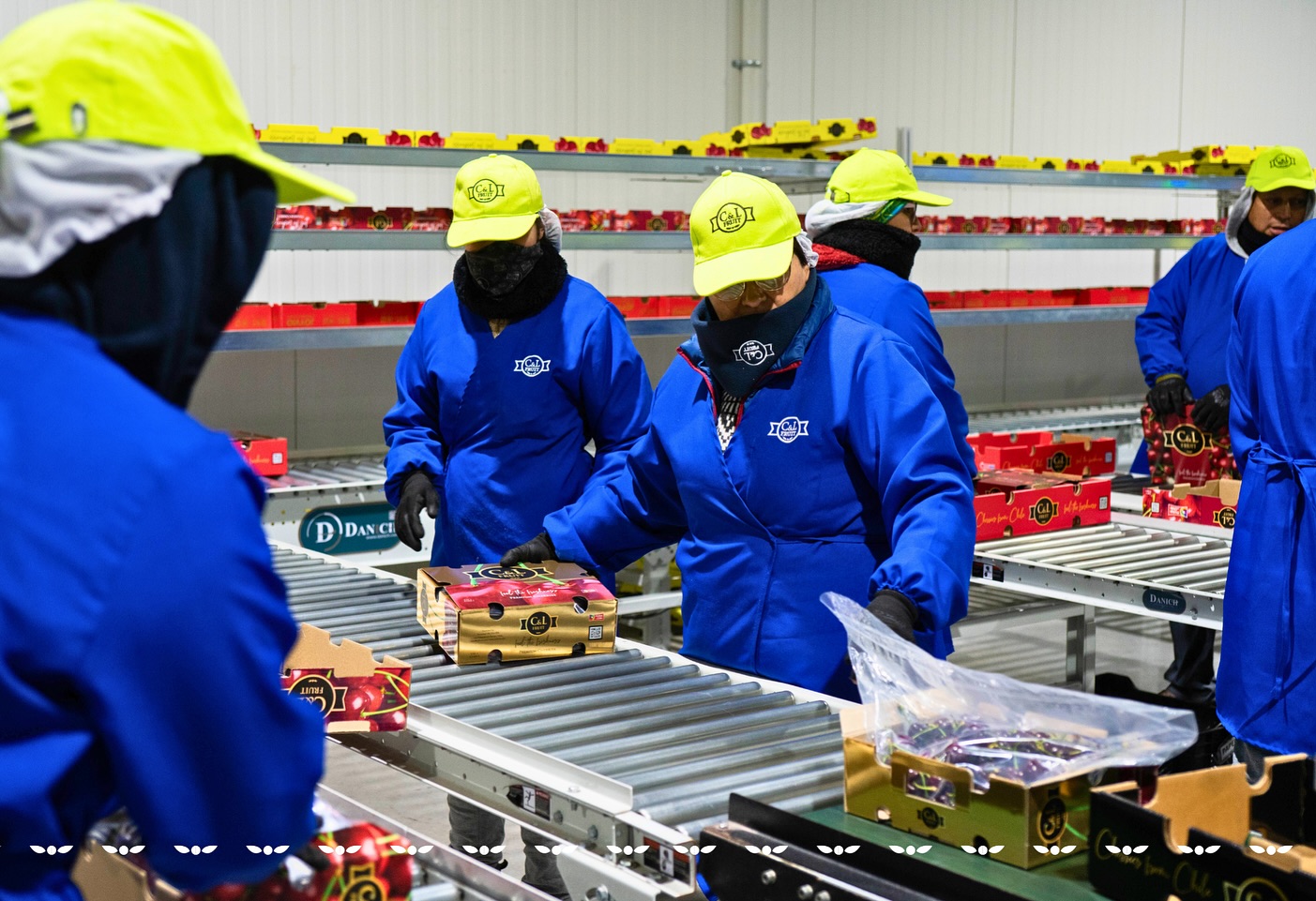 En C&L Fruit trabajamos por una alimentación equilibrada, donde la fruta no solo aporta frescura y nutrientes, sino también seguridad y calidad en cada etapa del proceso.
Desde el origen hasta la mesa, operamos con altos estándares de inocuidad que nos permiten ofrecer una fruta consistente, cuidada y confiable.
En este Día Mundial de la Salud, reafirmamos nuestro compromiso: entregar fruta segura, de calidad consistente y que haga bien.
At C&L Fruit, we work to support a balanced diet, where fruit not only brings freshness and nutrients, but also safety and quality at every stage of the process.
From orchard to table, we operate under strict food safety standards that allow us to deliver fruit that is consistent, carefully handled, and reliable.
On this World Health Day, we reaffirm our commitment:
to deliver fruit that is safe, consistently high in quality, and truly good for you.
#cylfruit #feelthefreshness #worldhealthday #healthyhabits