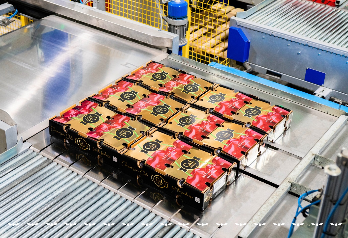 En C&L Fruit trabajamos por una alimentación equilibrada, donde la fruta no solo aporta frescura y nutrientes, sino también seguridad y calidad en cada etapa del proceso.
Desde el origen hasta la mesa, operamos con altos estándares de inocuidad que nos permiten ofrecer una fruta consistente, cuidada y confiable.
En este Día Mundial de la Salud, reafirmamos nuestro compromiso: entregar fruta segura, de calidad consistente y que haga bien.
At C&L Fruit, we work to support a balanced diet, where fruit not only brings freshness and nutrients, but also safety and quality at every stage of the process.
From orchard to table, we operate under strict food safety standards that allow us to deliver fruit that is consistent, carefully handled, and reliable.
On this World Health Day, we reaffirm our commitment:
to deliver fruit that is safe, consistently high in quality, and truly good for you.
#cylfruit #feelthefreshness #worldhealthday #healthyhabits