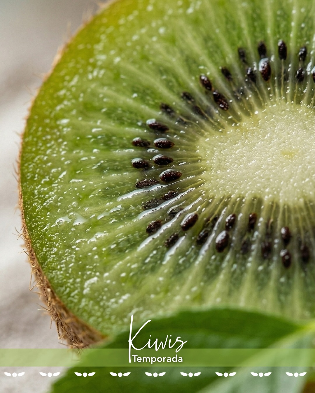 Bienvenido, kiwi.
Una nueva fruta se suma a nuestra temporada, aportando frescura, sabor y versatilidad a nuestra selección.
En C&L Fruit, cada incorporación refleja lo que nos define: un trabajo cuidadoso desde el origen, donde cada etapa del proceso está pensada para asegurar fruta de calidad consistente y segura.
Welcome, kiwi.
A new fruit joins our season, bringing freshness, flavor, and versatility to our selection.
At C&L Fruit, every addition reflects what defines us: a careful approach from origin, where every stage of the process is designed to ensure consistent, high-quality, and safe fruit.
#cylfruit #feelthefreshness #kiwi #newseason