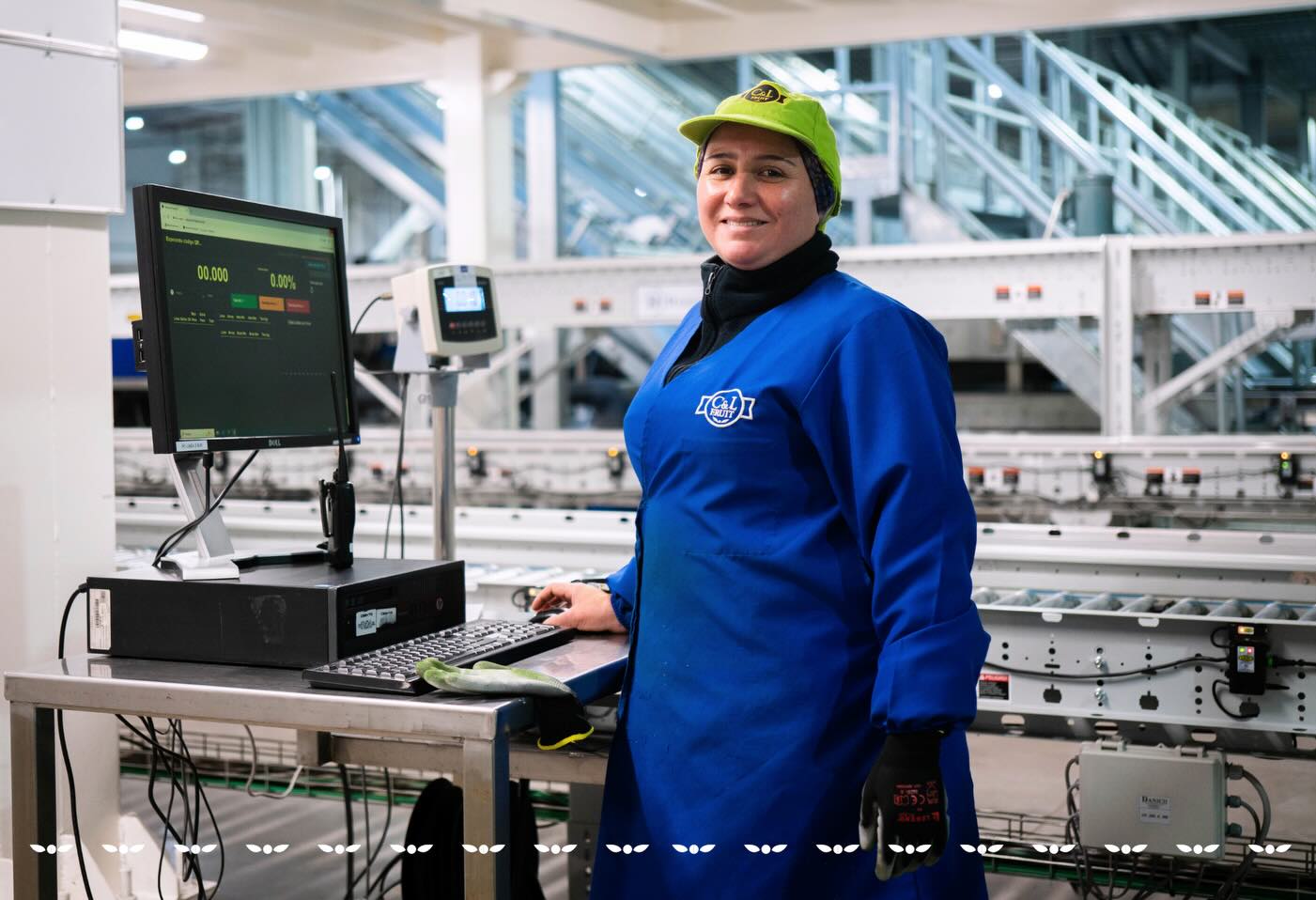 La temporada de kiwi en C&L Fruit avanza con un firme compromiso con la calidad y la inocuidad. Cada etapa del proceso, desde la recolección en el huerto hasta el empaque y envío, se realiza bajo altos estándares para asegurar fruta confiable, consistente y segura.
The kiwi season at C&L Fruit moves forward with a strong commitment to quality and food safety. Every stage of the process, from harvesting in the orchard to packing and shipping, is carried out under high standards to ensure fruit that is reliable, consistent, and safe.
#cylfruit #InocuidadAlimentaria #AgroExportacion #KiwiSeason