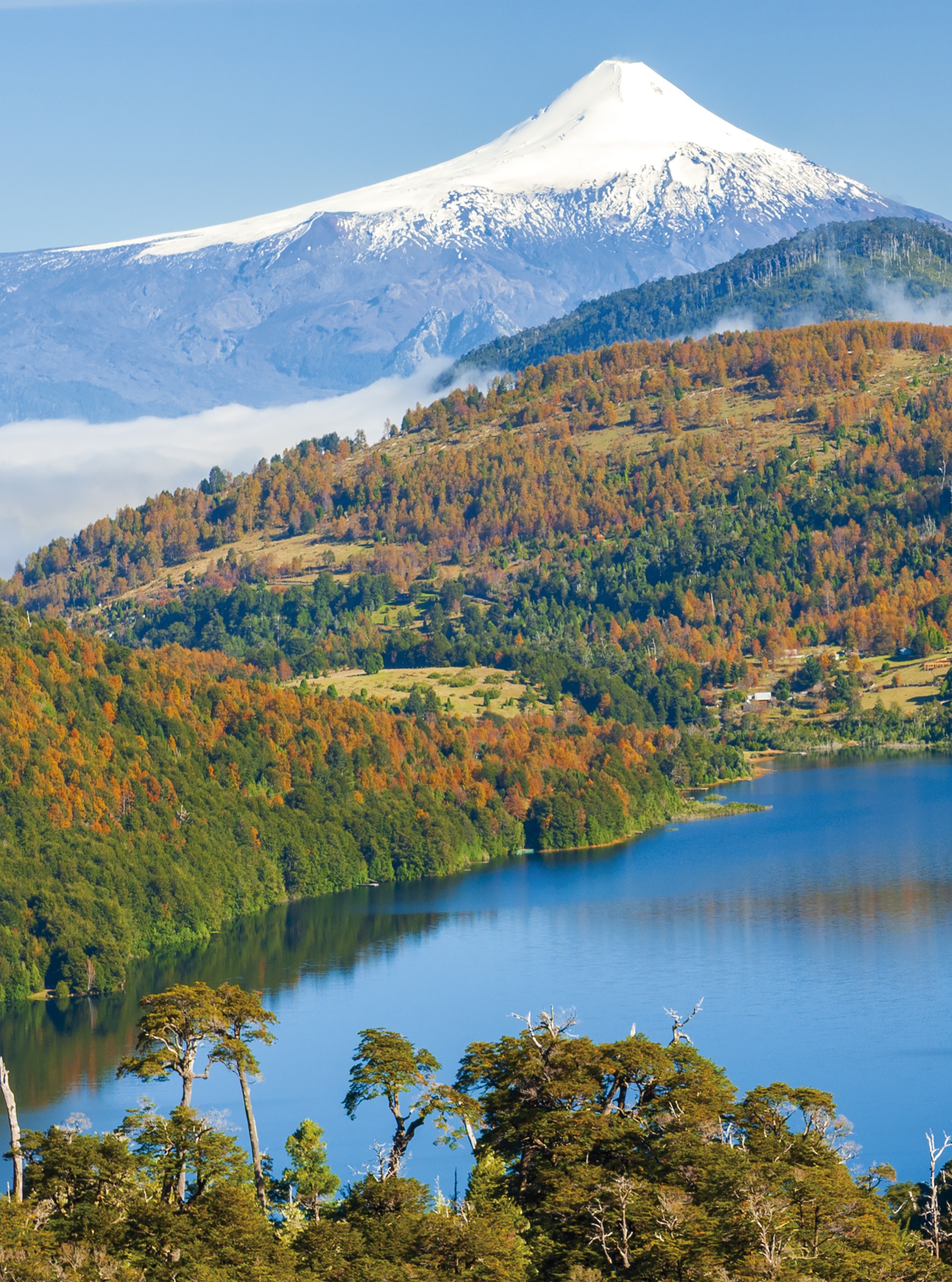 Estoy preparando el Calendario Chile 2027 y pensé... ¿cuál de estas 3 fotografías seleccionarías para la Portada?
N°1 ✅¿una otoñal, con el volcán Villarrica de fondo?
N°2 ✅¿una de volcanes y la laguna Verde en las frías alturas del Altiplano de Copiapó?
N°3 ✅¿o quizás, las icónicas Torres del Paine reflejadas en la laguna Amarga?
Te invito a comentar tu número favorito!