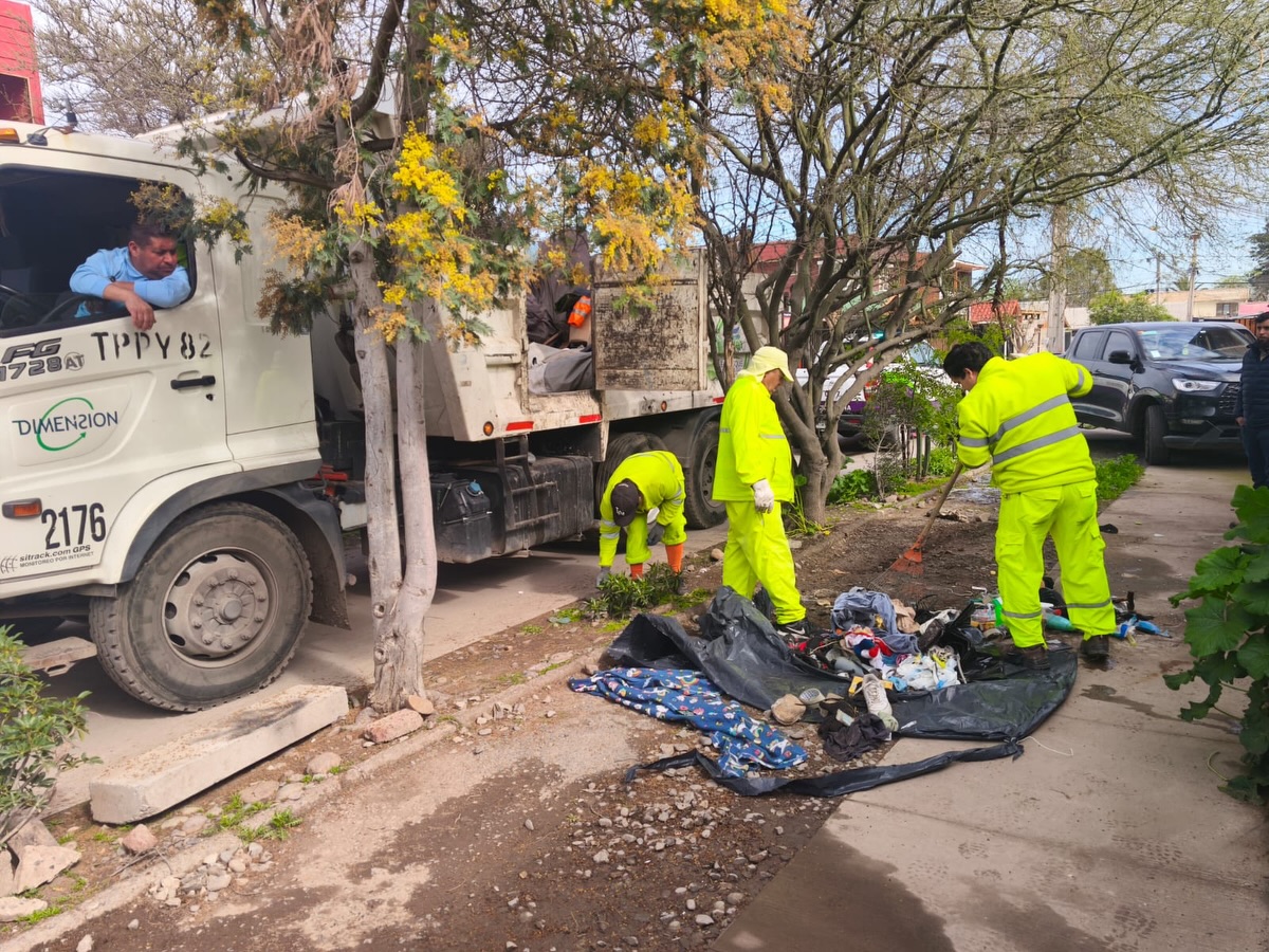 🟢𝐄𝐋 𝐁𝐎𝐒𝐐𝐔𝐄 𝐒𝐈𝐆𝐔𝐄 𝐀𝐕𝐀𝐍𝐙𝐀𝐍𝐃𝐎 𝐄𝐍 𝐒𝐄𝐆𝐔𝐑𝐈𝐃𝐀𝐃🚓 Equipos municipales de las direcciones de Seguridad y Convivencia Ciudadana, Medio Ambiente y Fiscalización, junto a Carabineros de la 39° Comisaría de El Bosque, retiraron rucos, ubicados en: 📍Los Plátanos con Los Diamelos. 📍Los Filodendros con Los Sauces. 📍Av. Padre Hurtado con Vecinal. 📍Av. Padre Hurtado con Madrid. 📍Av. Padre Hurtado con Las Vizcachas. 📍Plaza Los Tréboles. 📍Plaza Lo Lillo, costado Alejandro Guzmán. 📍Plaza Sol del Pacífico. Seguimos trabajando por limpiar las calles de la comuna, para que nuestros vecinos puedan caminar más seguros y libres de basura. 💠𝗥𝗲𝗰𝘂𝗲𝗿𝗱𝗮 𝗾𝘂𝗲 𝗲𝗻𝘁𝗿𝗲 𝘁𝗼𝗱𝗼𝘀 𝗵𝗮𝗰𝗲𝗺𝗼𝘀 𝘂𝗻𝗮 𝗺𝗲𝗷𝗼𝗿 𝗰𝗼𝗺𝘂𝗻𝗮; 𝗵𝗮𝘇 𝘁𝘂 𝗱𝗲𝗻𝘂𝗻𝗰𝗶𝗮 𝗮𝗻𝗼́𝗻𝗶𝗺𝗮 𝗮 𝘁𝗿𝗮𝘃𝗲́𝘀 𝗱𝗲 𝗻𝘂𝗲𝘀𝘁𝗿𝗼 𝗪𝗵𝗮𝘁𝘀𝗔𝗽𝗽 📲 +𝟱𝟲𝟵 𝟱𝟵𝟭𝟮 𝟯𝟲𝟱𝟲. ¡𝗡𝗼 𝗲𝗻𝘀𝘂𝗰𝗶𝗲𝘀 𝗹𝗼 𝗾𝘂𝗲 𝗻𝗼 𝗹𝗶𝗺𝗽𝗶𝗮𝘀❗