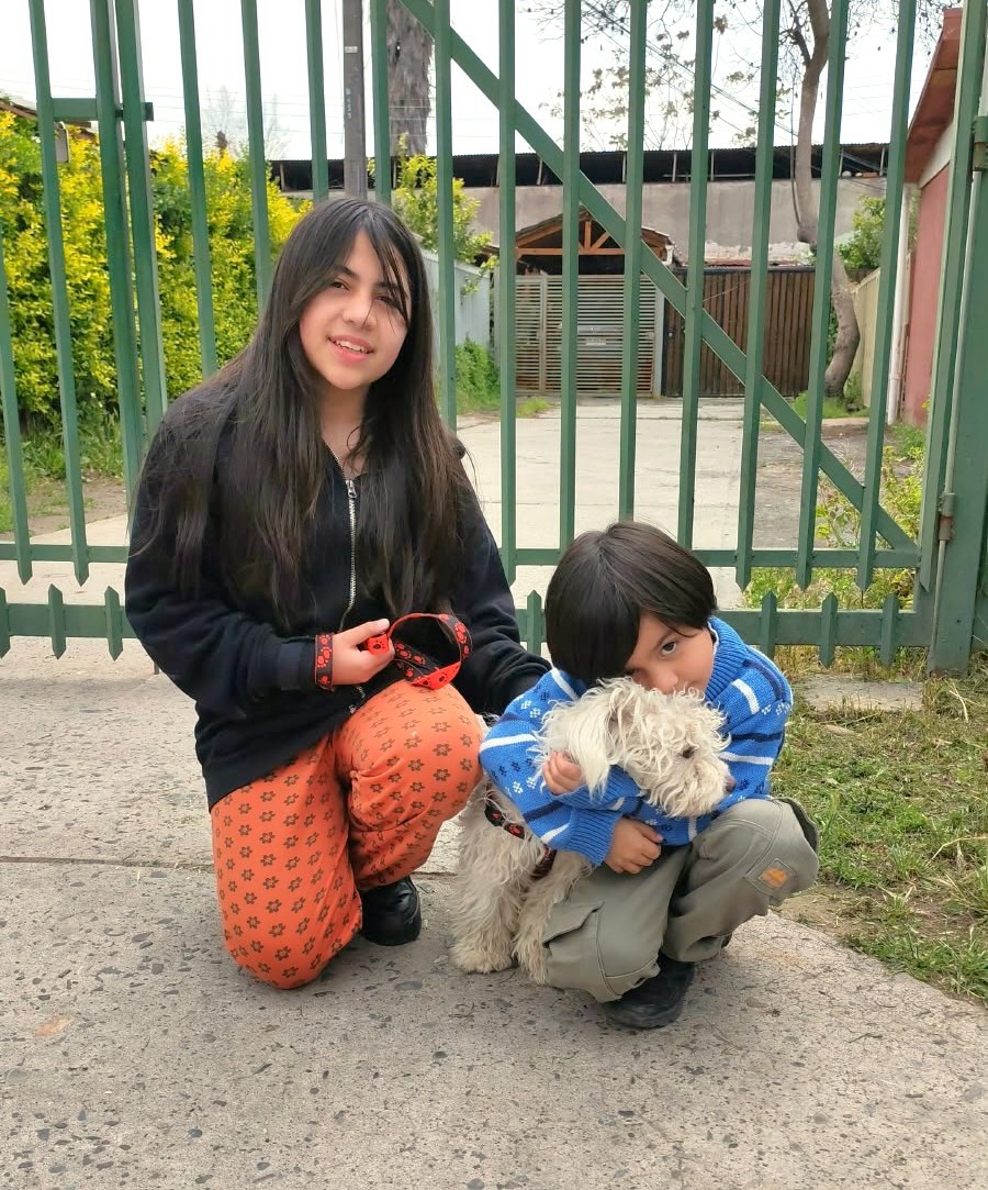 🟢¡𝐄𝐧𝐭𝐫𝐞 𝐭𝐨𝐝𝐚𝐬 𝐲 𝐭𝐨𝐝𝐨𝐬 𝐜𝐮𝐢𝐝𝐚𝐦𝐨𝐬 𝐄𝐥 𝐁𝐨𝐬𝐪𝐮𝐞!💚🚐🐾 🧹🧼 🍂 ✂️🌳𝐎𝐩𝐞𝐫𝐚𝐭𝐢𝐯𝐨 𝐝𝐞 𝐥𝐢𝐦𝐩𝐢𝐞𝐳𝐚 𝐞𝐧 𝐭𝐮 𝐛𝐚𝐫𝐫𝐢𝐨 Visitamos villas Los Arcos y Hanga Roa con nuestro operativo en terreno 𝐄𝐧𝐭𝐫𝐞 𝐭𝐨𝐝𝐚𝐬 𝐲 𝐭𝐨𝐝𝐨𝐬 𝐜𝐮𝐢𝐝𝐚𝐦𝐨𝐬 𝐄𝐥 𝐁𝐨𝐬𝐪𝐮𝐞, donde equipos de la Dirección de Medio Ambiente y vecinos, desarrollaron labores de reciclaje, limpieza, podas de árboles, desratización y retiro de voluminosos; además de los servicios del Móvil Veterinario. 🐶🐾🐱. #ElBosqueMunicipioCiudadano